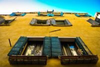 PS Plus Extra/Premium June 2024 Game Revealed, Will Be Part of Regular Lineup