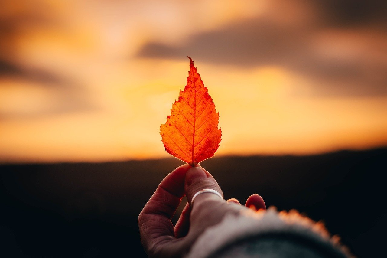 A comprehensive guide to the best summer dresses A comprehensive guide to the best summer dresses