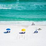 The Nature You See in Documentaries Is Beautiful and False