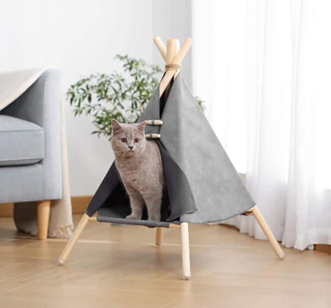 Home Marketplace2 45 hotspot-carusel-cat-tent-opt-opt