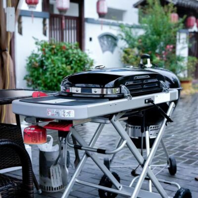 ウェーバートラベラーガスグリル用の汎用性の高い鋳鉄製グリドル - 外出中の料理に最適です! 11 ウェーバートラベラーガスグリル用の汎用性の高い鋳鉄製グリドル - 外出中の料理に最適です!